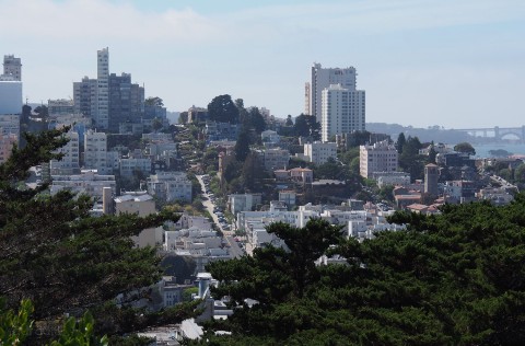 Lombard Street in the distance...yes we walked there